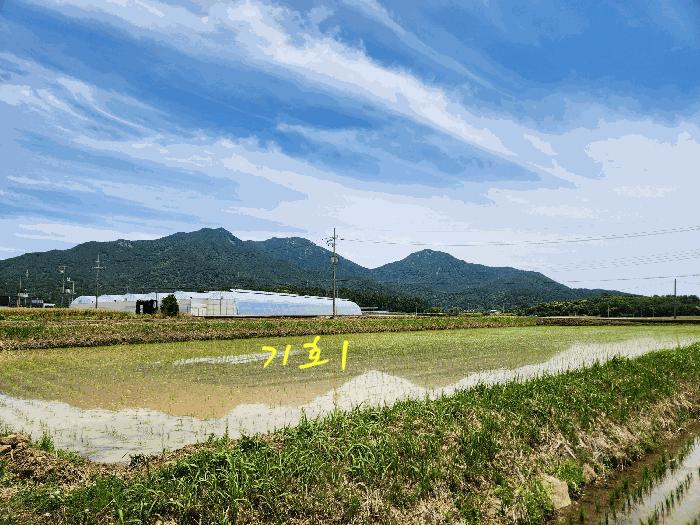 2025타경30880 법원경매 사진9 | 경남 사천시 전답 경매