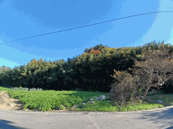 2025타경52245 법원경매 사진2 | 전남 보성군 대지 경매