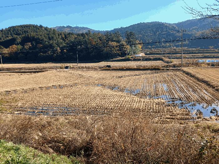 2025타경52245 법원경매 사진3 | 전남 보성군 대지 경매