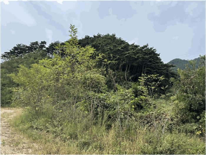2025타경30248 법원경매 사진12 | 전북 남원시 공장 경매