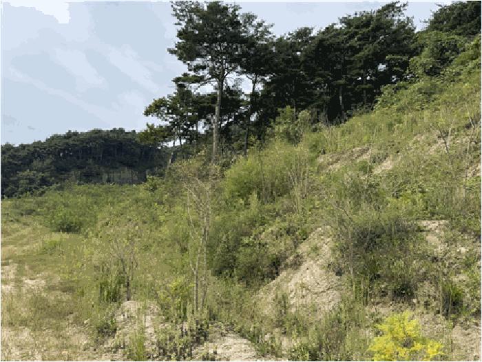 2025타경30248 법원경매 사진2 | 전북 남원시 공장 경매