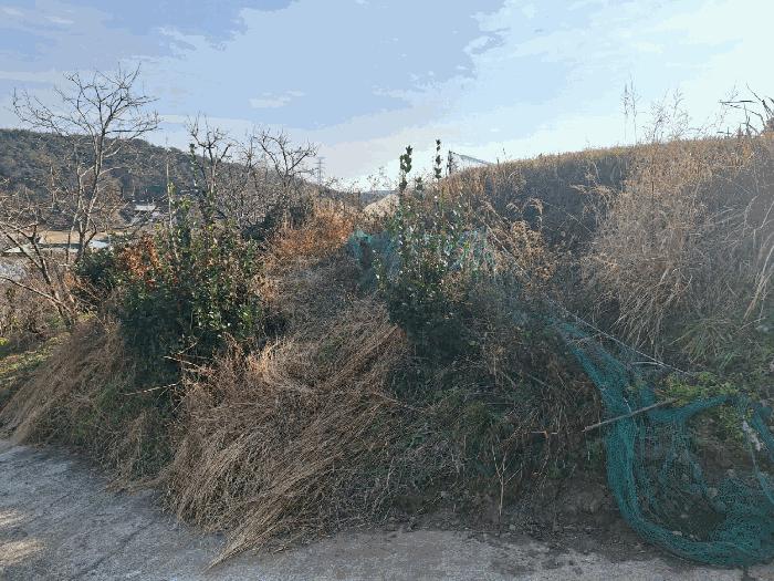 2025타경52351 법원경매 사진2 | 전남 여수시 전 경매