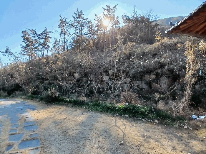 법원경매 2025타경52360 사진21 | 여수시 돌산읍 평사리 1253-20 전남 여수시 주택건물 경매