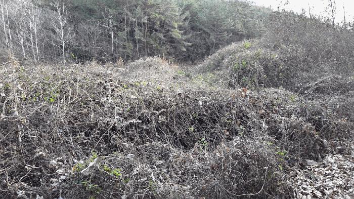 전라남도 고흥군 두원면 운대리 856 법원경매 물건 대표사진