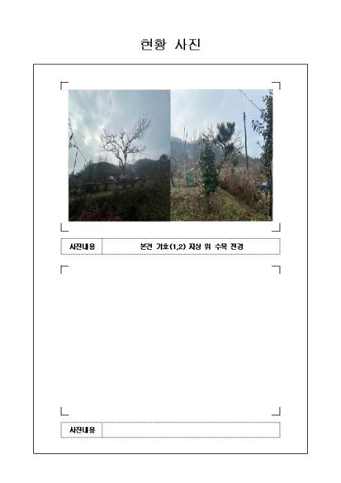 법원경매 2024타경50555 사진15 | 무안군 일로읍 돈도리길 36-9 주택건물 경매