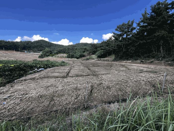 2025타경504 법원경매 사진3 | 전남 무안군 전답 경매