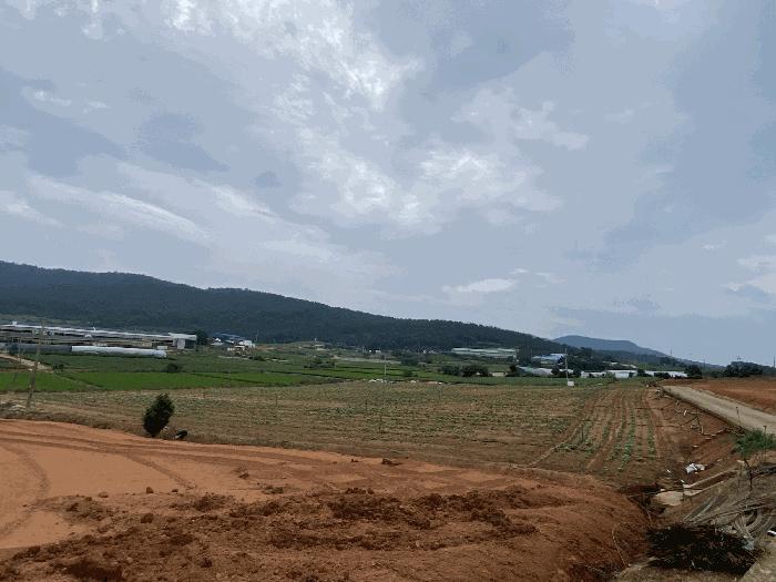 2025타경51264 법원경매 사진8 | 전남 무안군 전 경매
