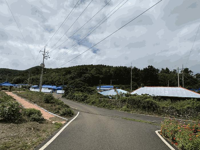 전라남도 신안군 자은면 대율리 산87-7 법원경매 물건 대표사진