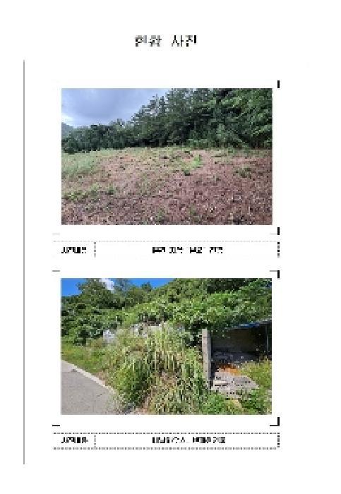 2025타경51310 법원경매 사진11 | 전남 신안군 임야 경매