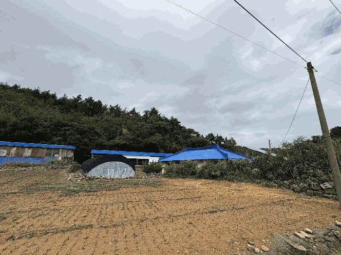 2025타경51310 법원경매 사진3 | 전남 신안군 임야 경매
