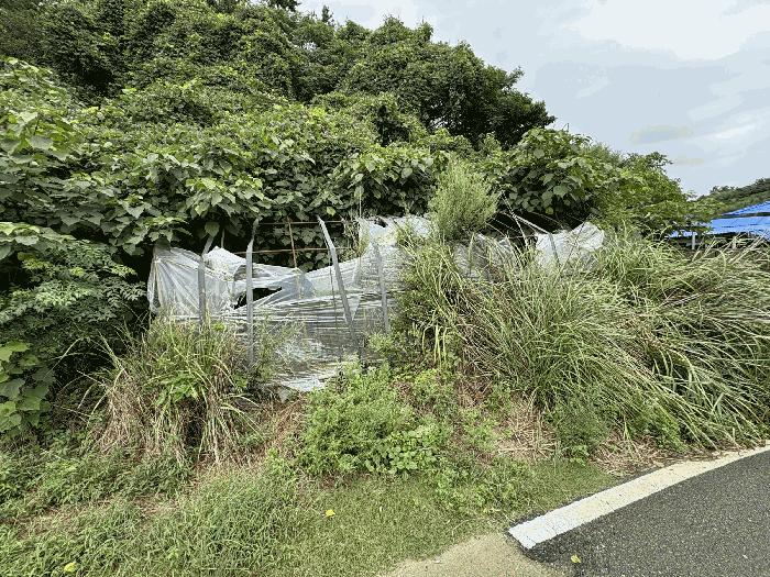 2025타경51310 법원경매 사진5 | 전남 신안군 임야 경매