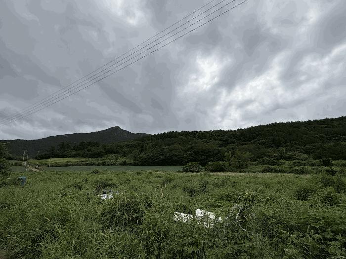 2025타경51310 법원경매 사진6 | 전남 신안군 임야 경매