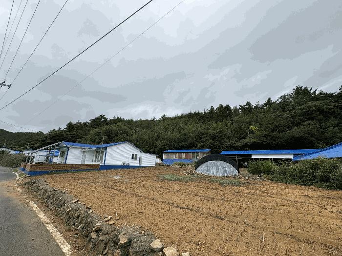 2025타경51310 법원경매 사진7 | 전남 신안군 임야 경매