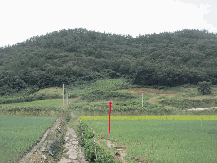 전라남도 신안군 임자면 삼두리 700-1 법원경매 물건 대표사진