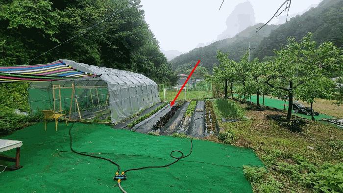 법원경매 2025타경71668 사진2 | 가평군 가평읍 산유리 356-1 전 경매