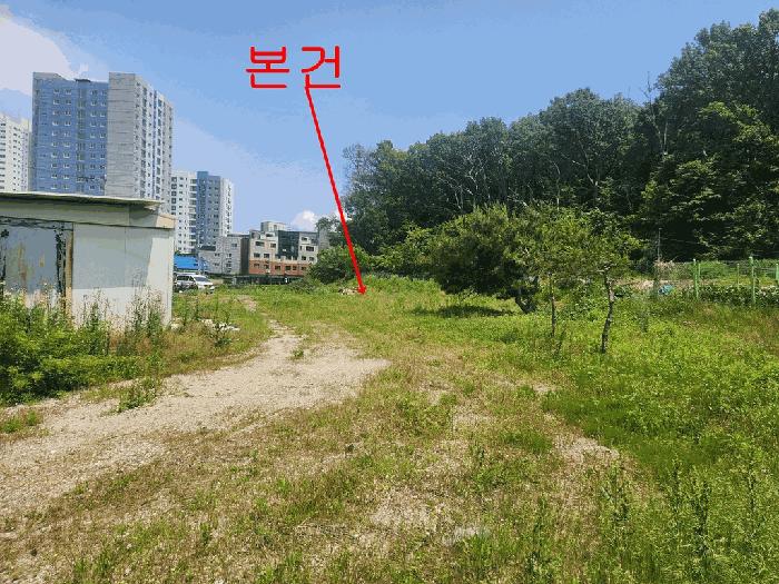2025타경1981 법원경매 사진3 | 경기 김포시 전 경매