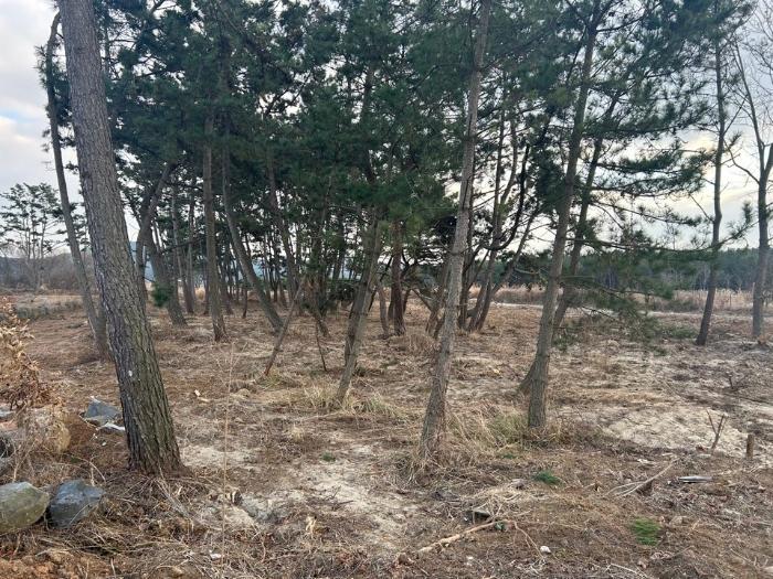 2024타경3971 법원경매 사진7 | 충남 서천군 임야 경매
