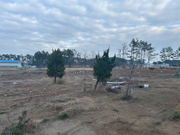2024타경3971 법원경매 사진9 | 충남 서천군 임야 경매