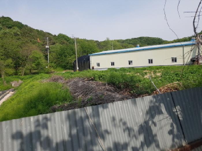 법원경매 2025타경52322 사진12 | 시흥시 금이동 28-3 전 경매