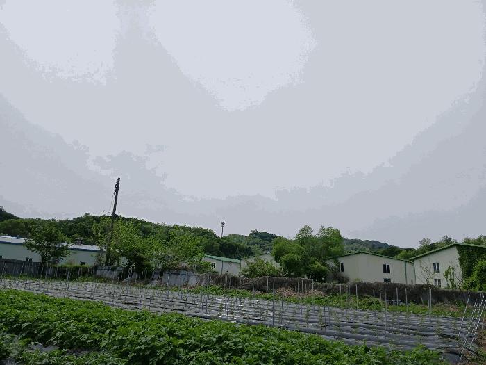 법원경매 2025타경52322 사진6 | 시흥시 금이동 28-3 전 경매
