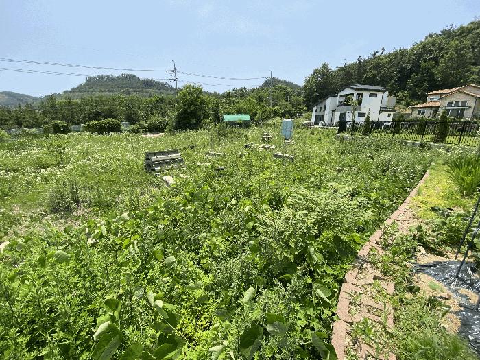 경기도 안산시 단원구 대부동동 1199 법원경매 물건 대표사진