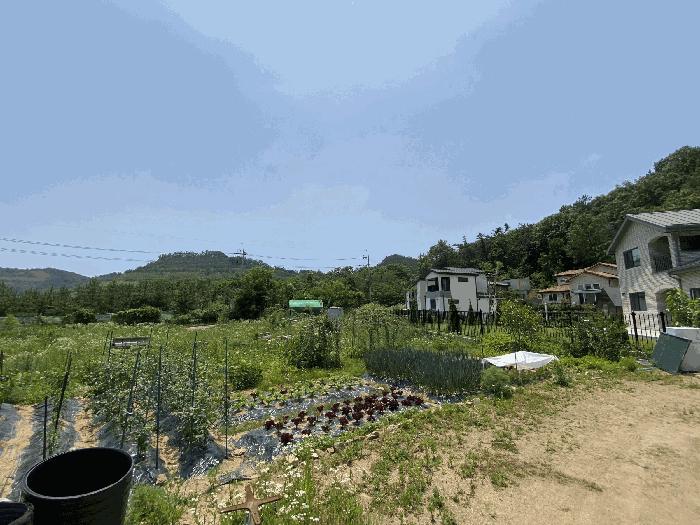 법원경매 2025타경52423 사진2 | 안산시 단원구 대부동동 1199 대지,임야,전답 경매