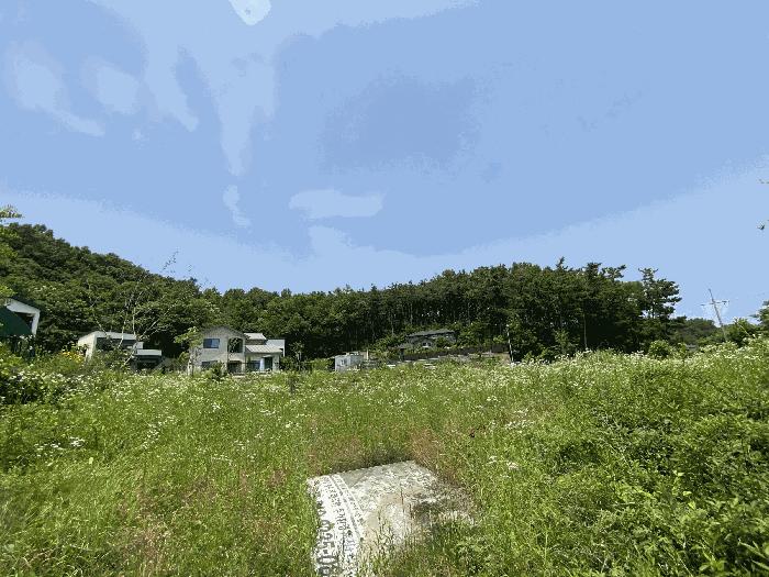법원경매 2025타경52423 사진3 | 안산시 단원구 대부동동 1199 대지,임야,전답 경매