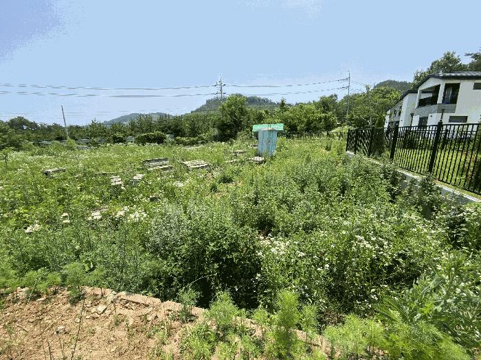 법원경매 2025타경52423 사진4 | 안산시 단원구 대부동동 1199 대지,임야,전답 경매