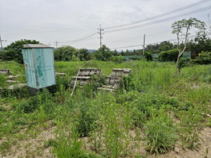 법원경매 2025타경52423 사진5 | 안산시 단원구 대부동동 1199 대지,임야,전답 경매