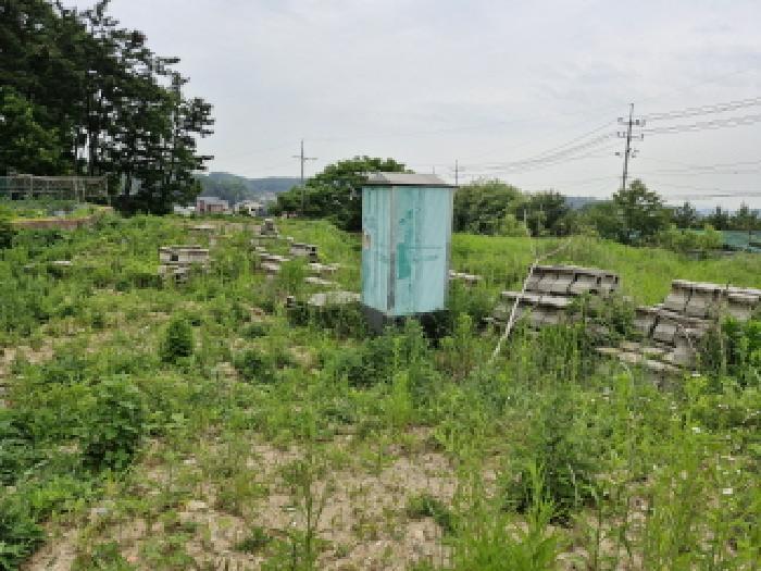 법원경매 2025타경52423 사진7 | 안산시 단원구 대부동동 1199 대지,임야,전답 경매