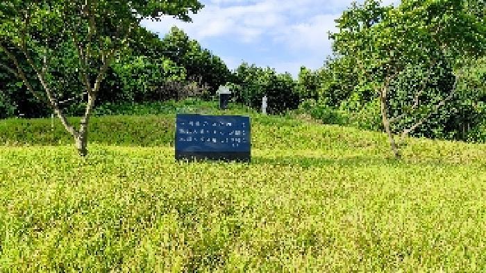 2025타경1069 법원경매 사진33 | 충남 서천군 임야 경매
