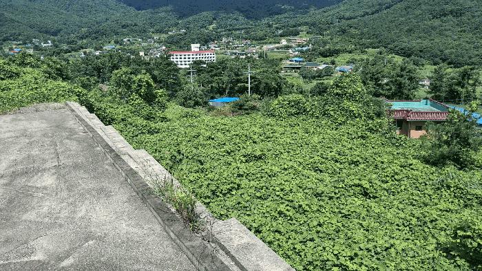 충청남도 예산군 덕산면 대치리 85-20 법원경매 물건 대표사진
