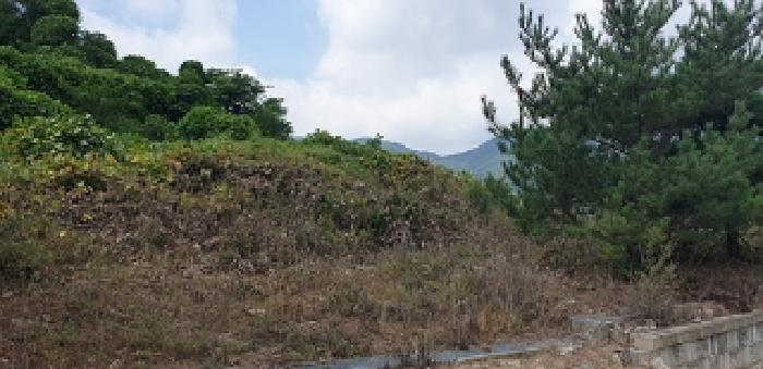 2025타경1110 법원경매 사진13 | 충남 예산군 기타 경매
