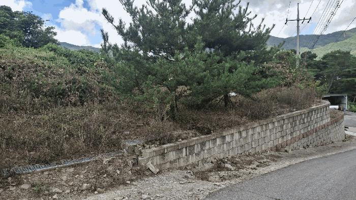 2025타경1110 법원경매 사진5 | 충남 예산군 기타 경매