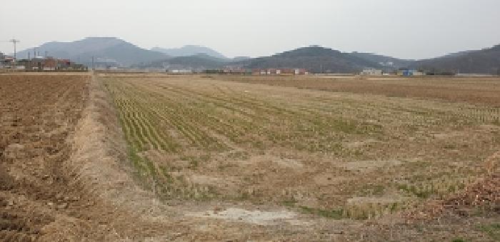 2025타경15555 법원경매 사진5 | 충남 예산군 답 경매