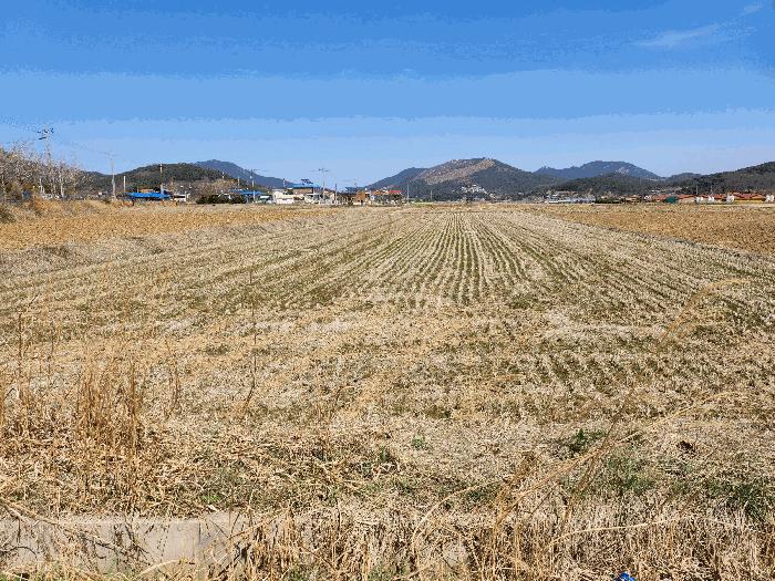 2025타경15555 법원경매 사진7 | 충남 예산군 답 경매