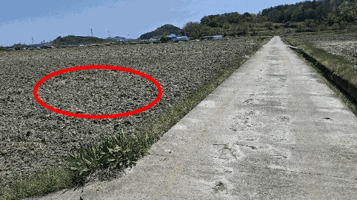 2025타경15669 법원경매 사진5 | 충남 서천군 답 경매