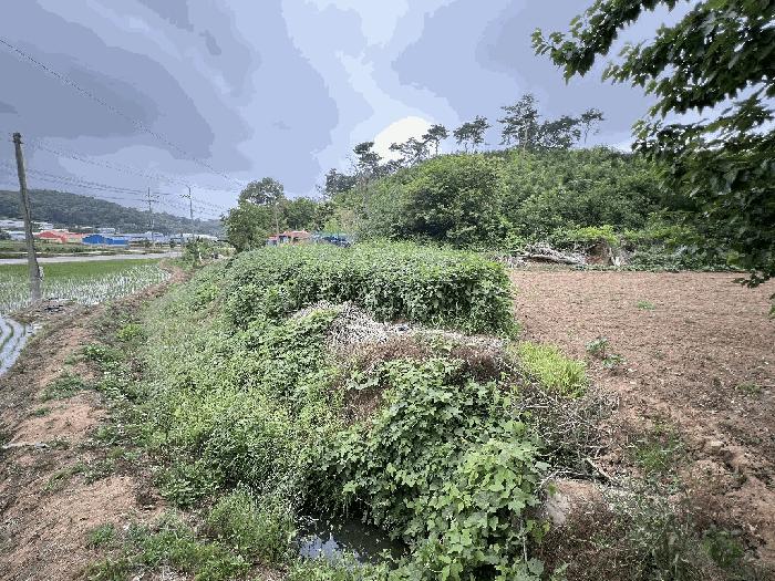 2025타경15698 법원경매 사진3 | 충남 홍성군 전 경매