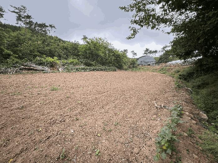 2025타경15698 법원경매 사진4 | 충남 홍성군 전 경매