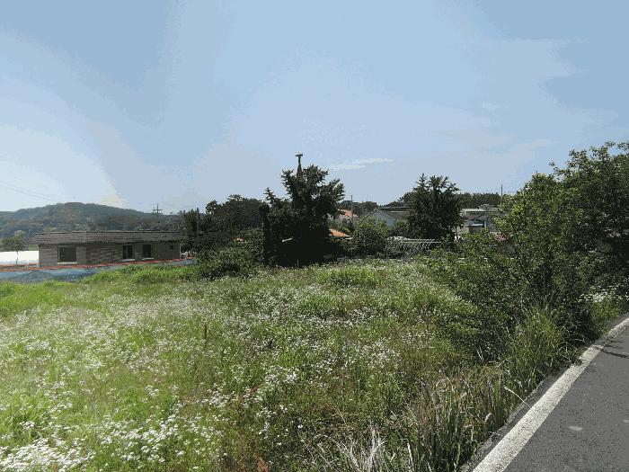 2025타경15776 법원경매 사진2 | 충남 보령시 전 경매