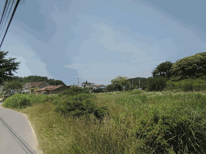 2025타경15776 법원경매 사진3 | 충남 보령시 전 경매