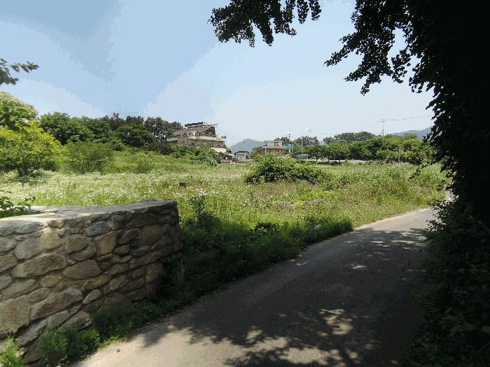 2025타경15776 법원경매 사진4 | 충남 보령시 전 경매