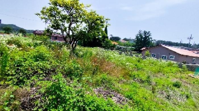 2025타경15776 법원경매 사진7 | 충남 보령시 전 경매