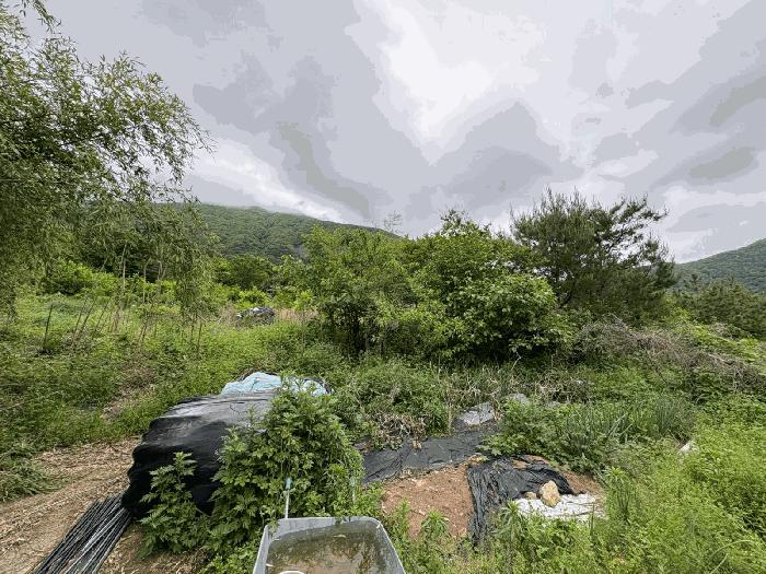 2025타경32773 법원경매 사진3 | 전남 화순군 전 경매