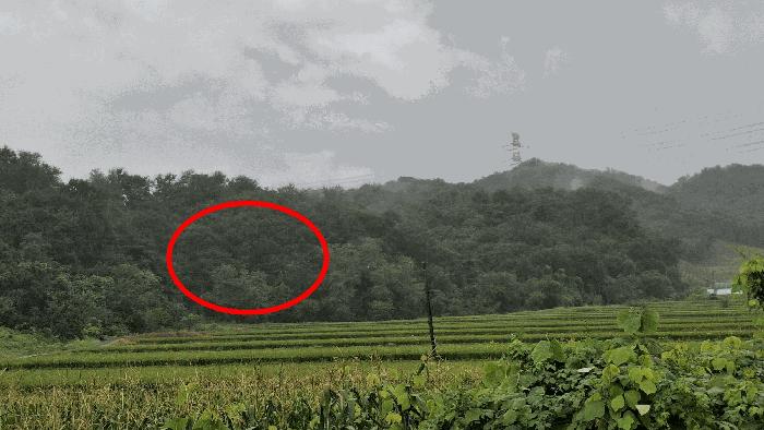 2025타경15928 법원경매 사진2 | 충남 예산군 임야 경매