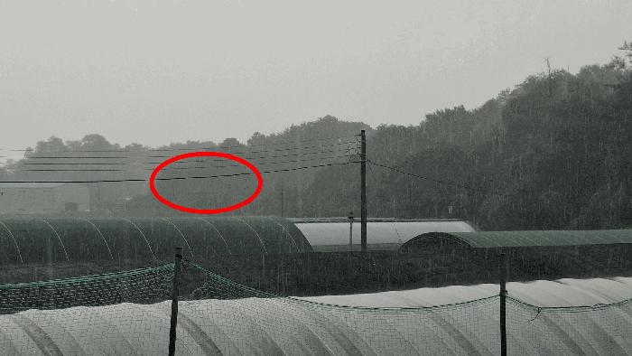 2025타경15928 법원경매 사진5 | 충남 예산군 임야 경매