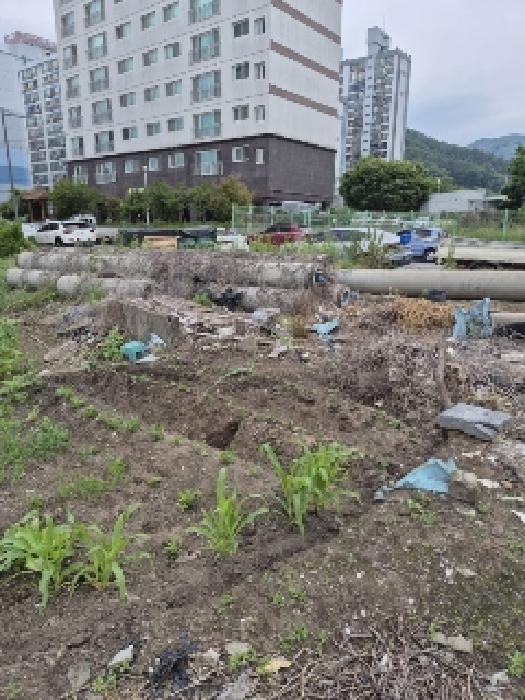 2025타경32786 법원경매 사진12 | 전남 화순군 전 경매