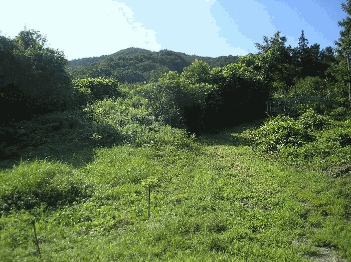 2025타경33523 법원경매 사진2 | 전남 화순군 전 경매