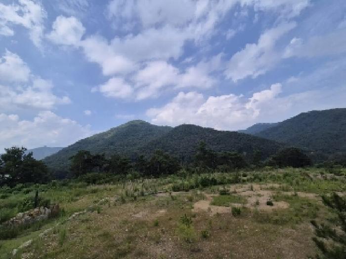 2025타경33573 법원경매 사진7 | 전남 곡성군 임야 경매
