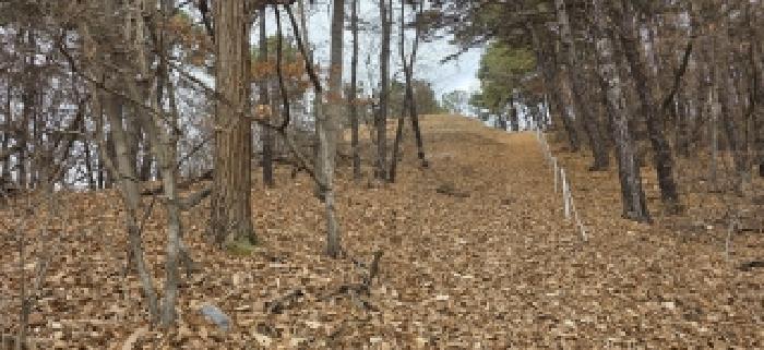 법원경매 2025타경64725 사진16 | 파주시 문산읍 문산리 10-93 근린상가 경매